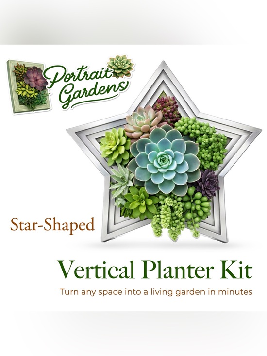Portrait Gardens Other - Star-Shaped Vertical Planter Kit (Silver) - Portrait Gardens